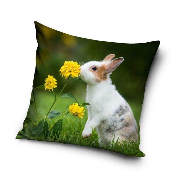 Hase Kaninchen Kissenbezug: Kissen - 40cm x 40cm