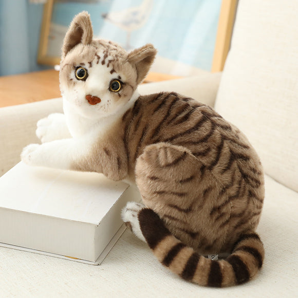 Katze Kuscheltier - 25 cm Plüschtier süßes Stofftier - Tinisu