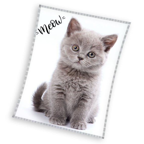 Süße Katze weiche Decke für Kinder 200 x 150 cm Kätzchen Kuscheldecke - Tinisu