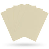 Dragon Shield Kartenhüllen 63 x 88mm Matte Sleeves Ivory (100)