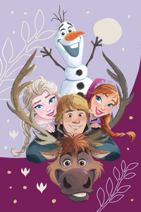 Frozen Disney Kuscheldecke Plüschdecke 100 x 150 cm weiche Decke