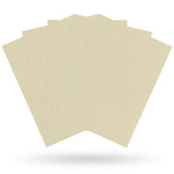 Dragon Shield Kartenhüllen 63 x 88mm Matte Sleeves Ivory (100) - Tinisu